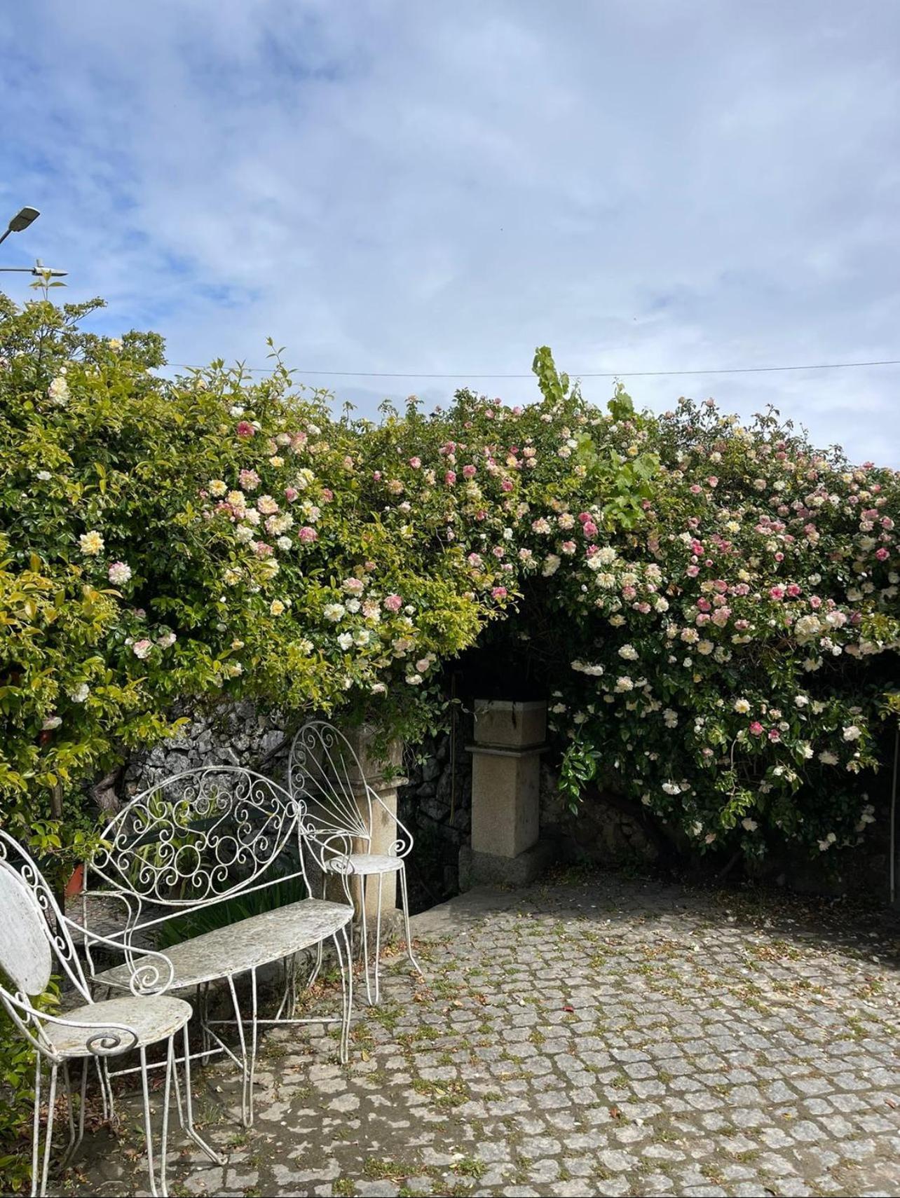 Quinta Santo Antonio Do Rio Villa Celorico Da Beira Eksteriør bilde