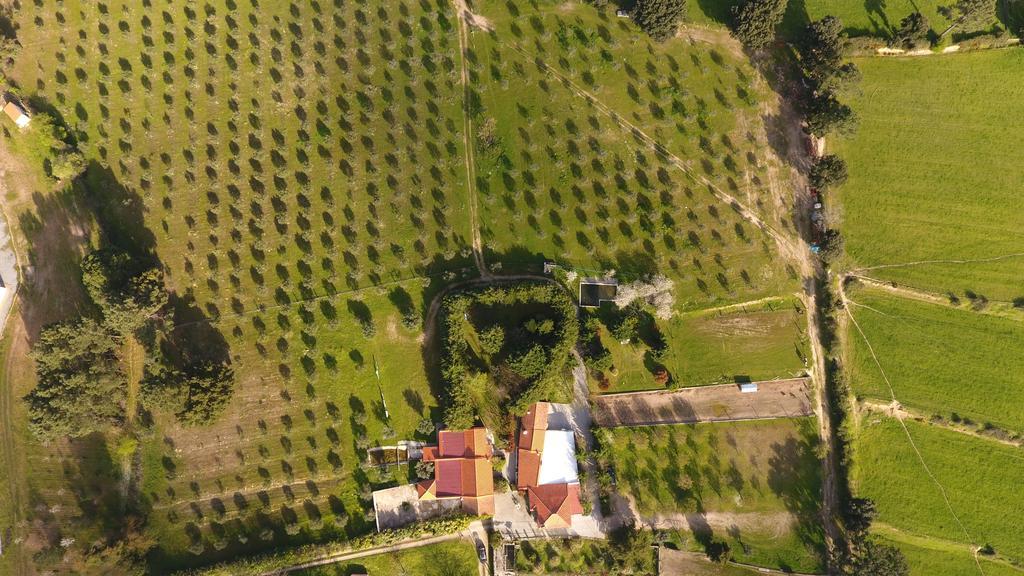 Quinta Santo Antonio Do Rio Villa Celorico Da Beira Eksteriør bilde